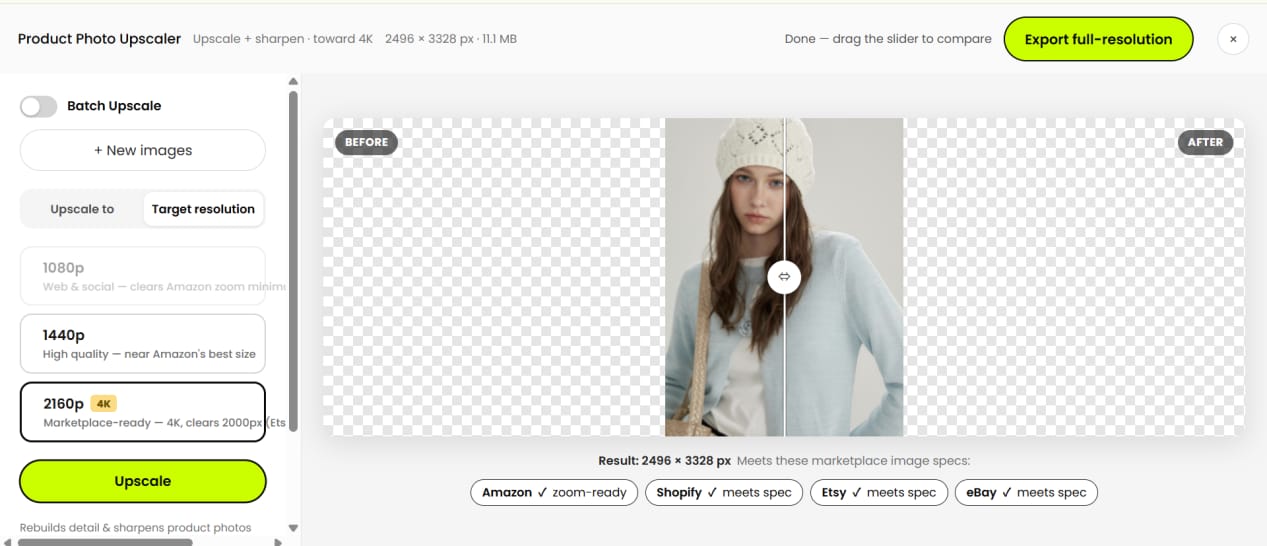 Snappyit workspace with batch option and 2496 × 3328 output