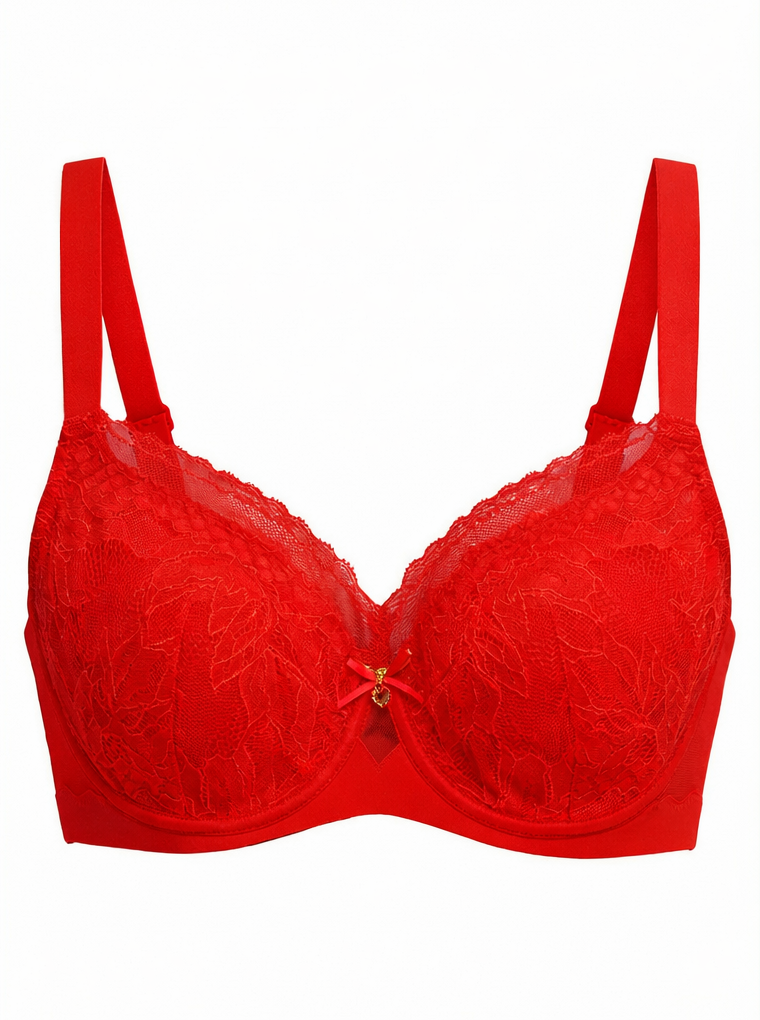 Lace bra recoloured to red