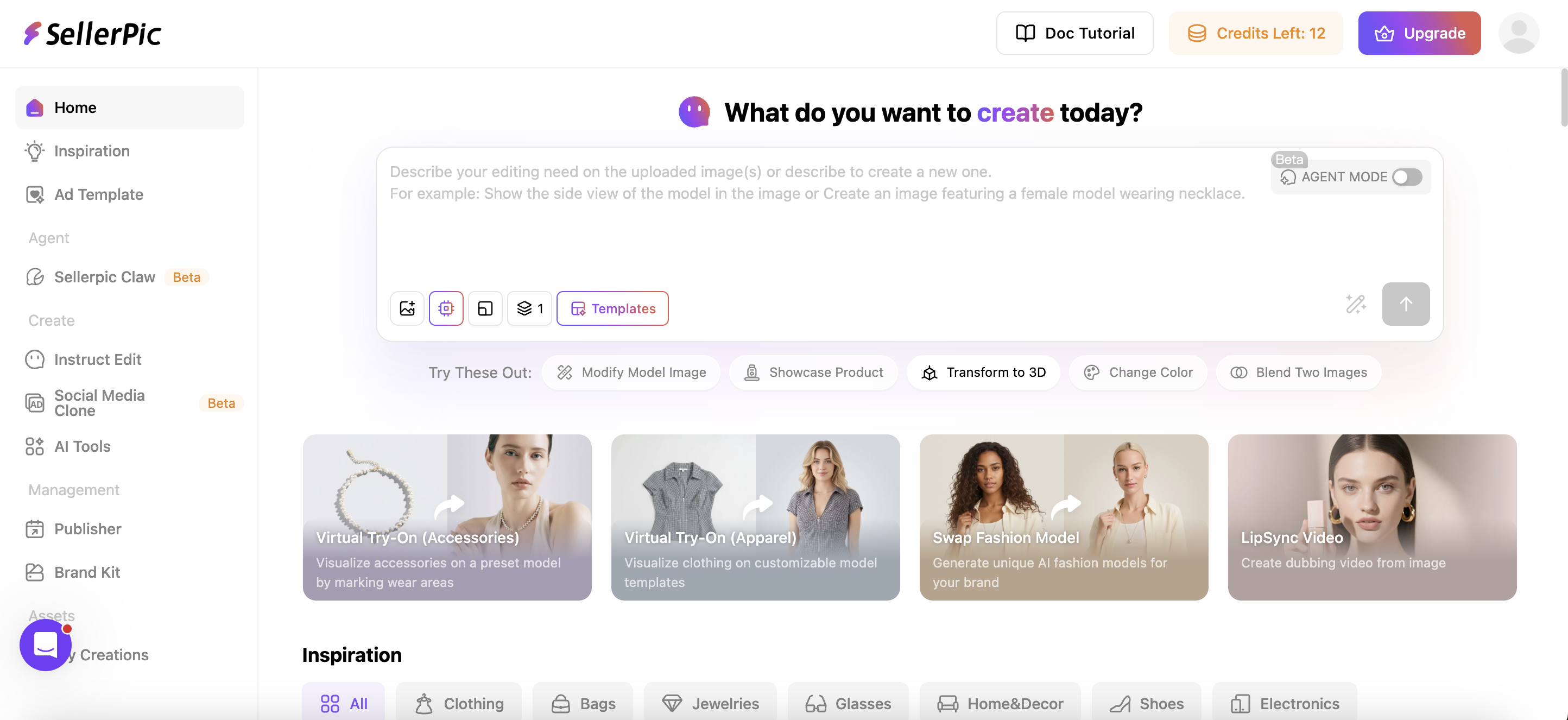 SellerPic dashboard showing the multi-feature fashion suite — Ghost Mannequin, On-Model Try-On, Short-Form Video, Background Removal as separate tabs in a workflow-step UI