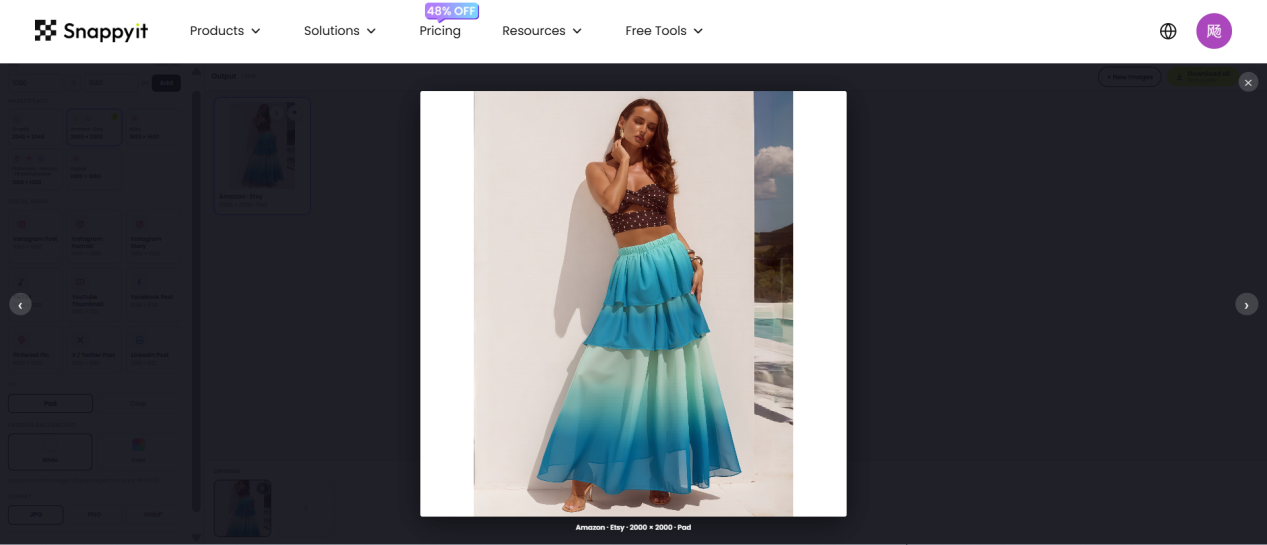 Snappyit preview showing a portrait product photo padded within a square canvas