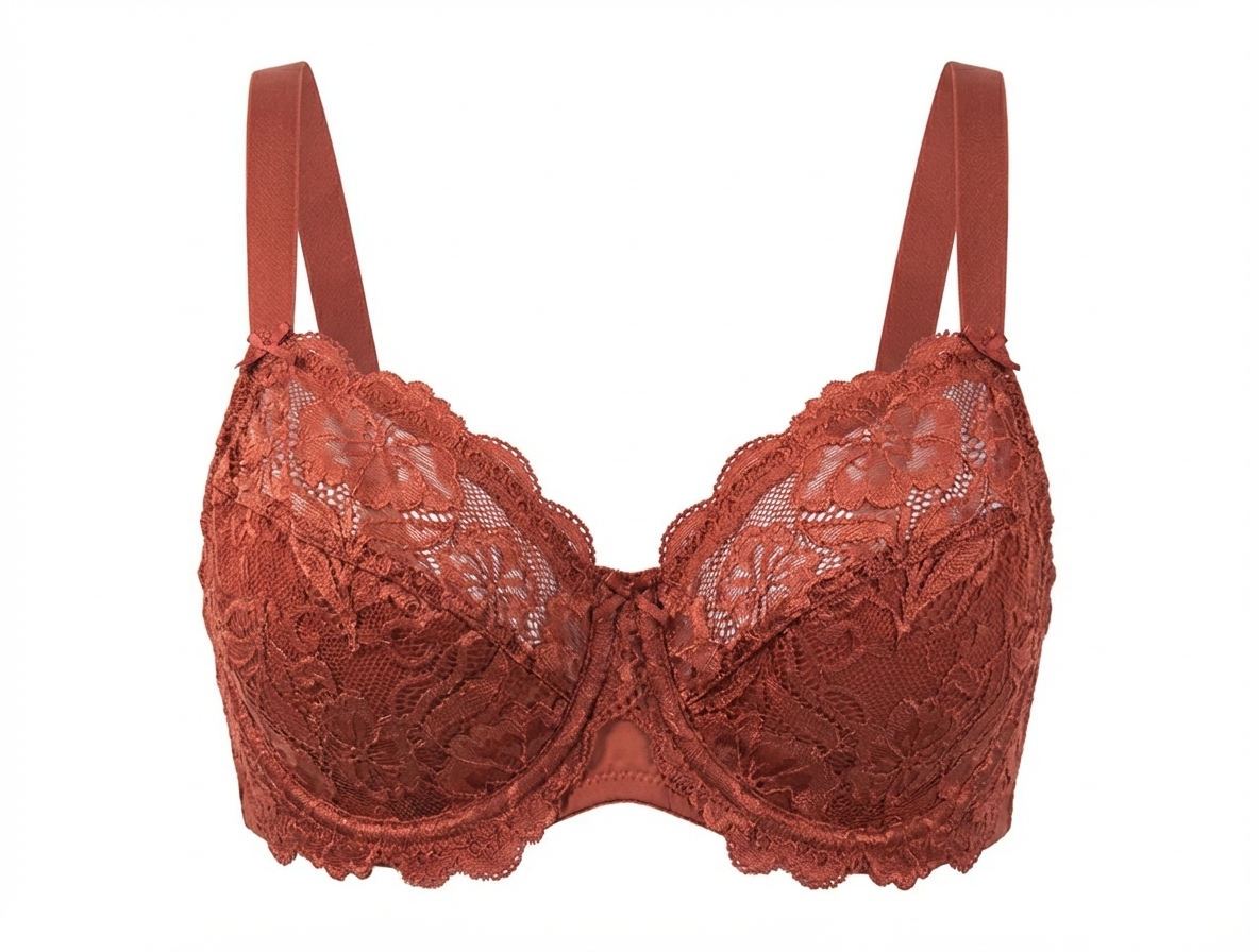 Red terracotta lace bra clean product cutout on white — the source supplier file before AI on-model generation